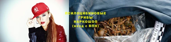 прущие крисы Абдулино
