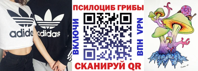 Псилоцибиновые грибы Psilocybe  закладки  Суздаль 
